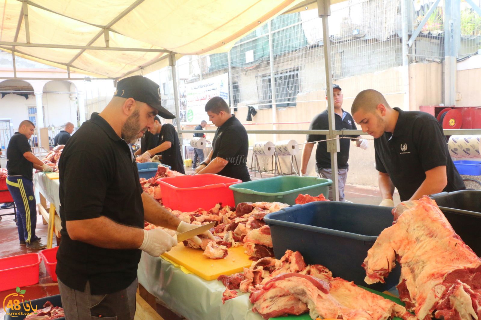 lo7om jam3iya u3 (2).jpg